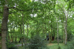 View from Lodge Nine decking