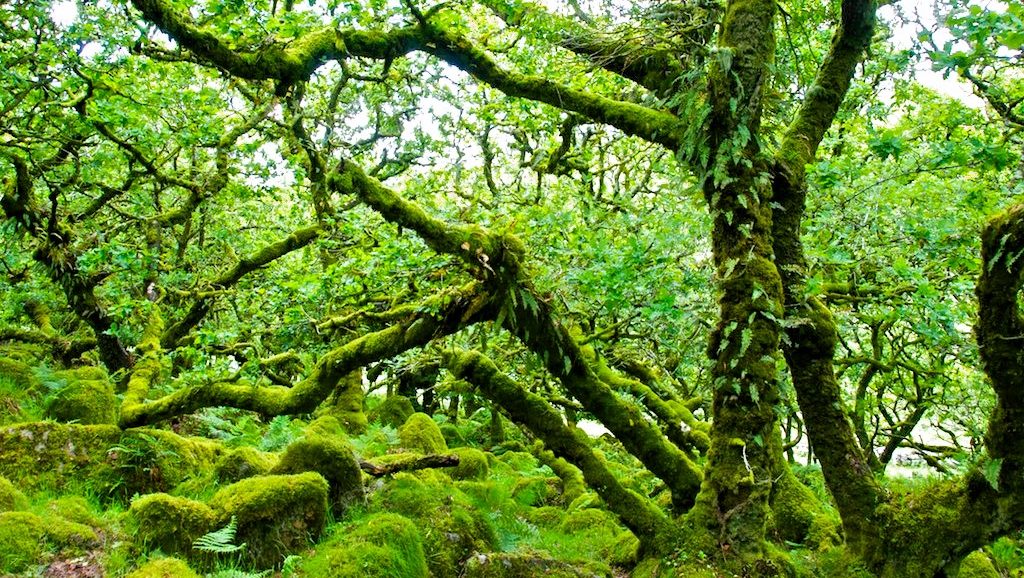 Holiday Lodge in Devon Holiday Lodge in Devon